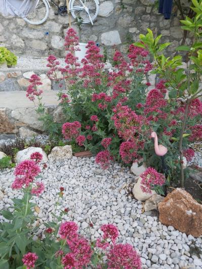 Image No.36-3 Bed Villa / Detached for sale