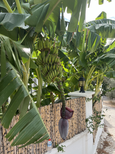 Image No.19-4 Bed Villa / Detached for sale