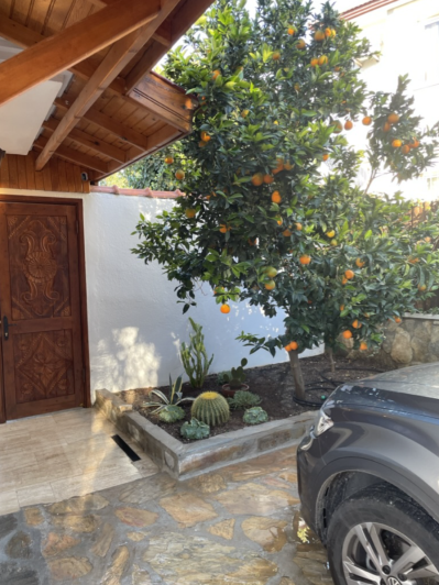 Image No.48-4 Bed Villa for sale