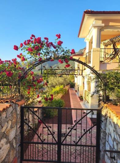 Image No.33-2 Bed Duplex for sale