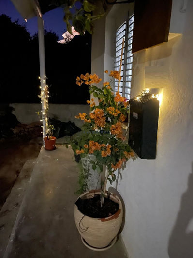 Image No.3-Bungalow de 1 chambre à vendre à Kiti