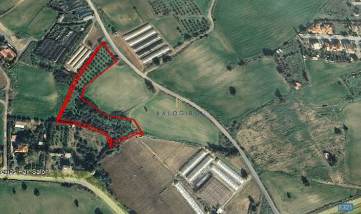 Image No.2-Terre à vendre à Maroni