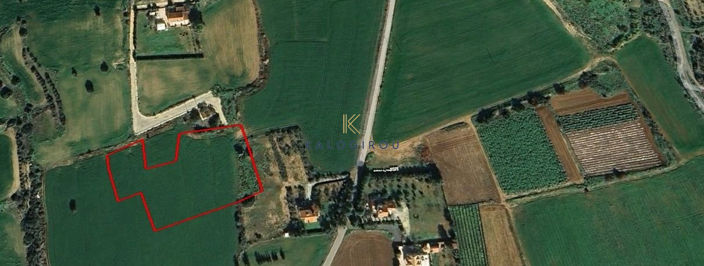 Image No.3-Terre à vendre à Agios Theodoros