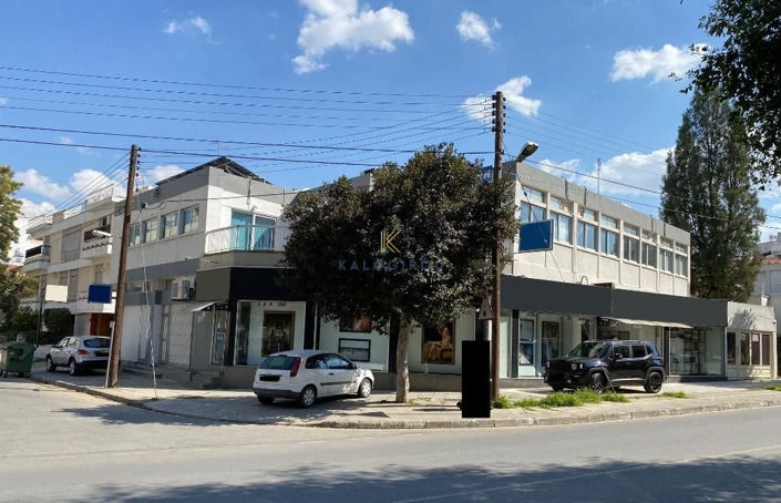 Image No.3-Commercial à vendre à Nicosie