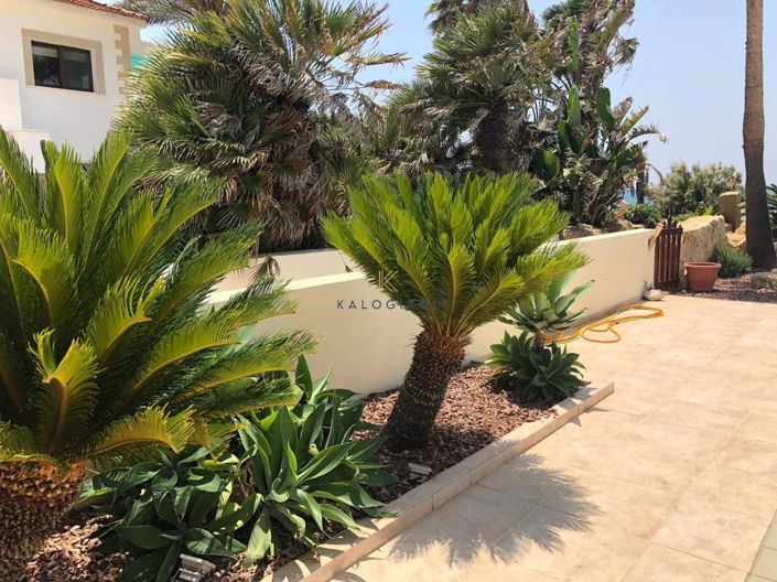 Image No.33-Maison de 4 chambres à vendre à Pervolia