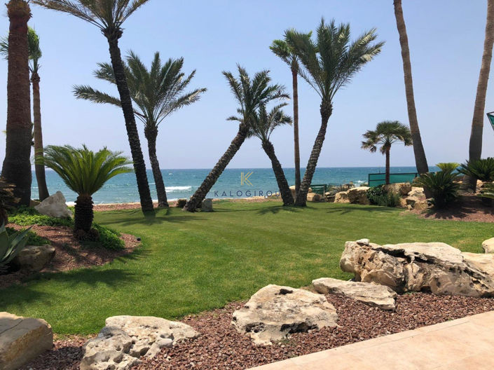 Image No.34-Maison de 4 chambres à vendre à Pervolia