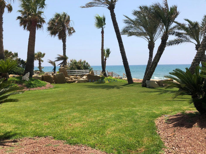 Image No.35-Maison de 4 chambres à vendre à Pervolia