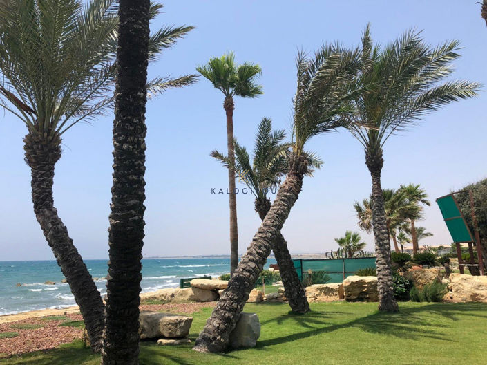 Image No.36-Maison de 4 chambres à vendre à Pervolia