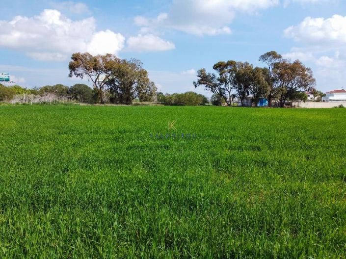 Image No.5-Terre à vendre à Sotira