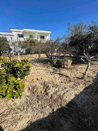 Image No.30-Maison de 5 chambres à vendre à Anafotida