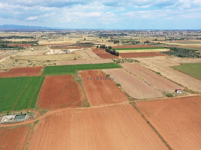 Image No.4-Terre à vendre à Avgorou