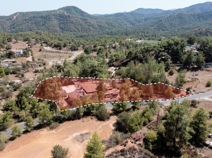 Image No.3-Commercial à vendre à Nicosie