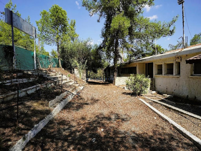 Image No.9-Commercial à vendre à Nicosie