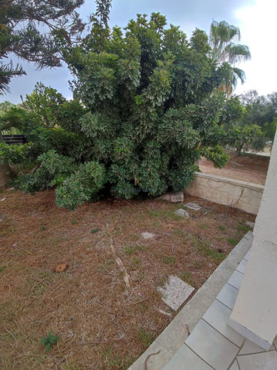 Image No.17-Maison de 3 chambres à vendre à Dekeleia