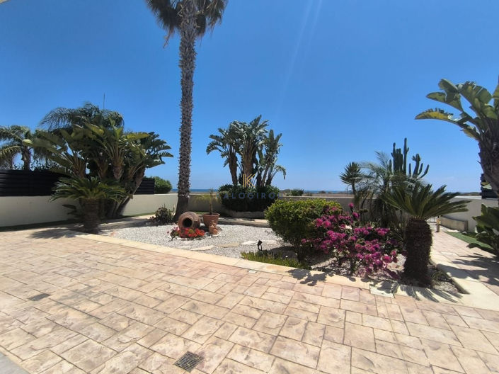 Image No.30-Maison de 3 chambres à vendre à Pervolia