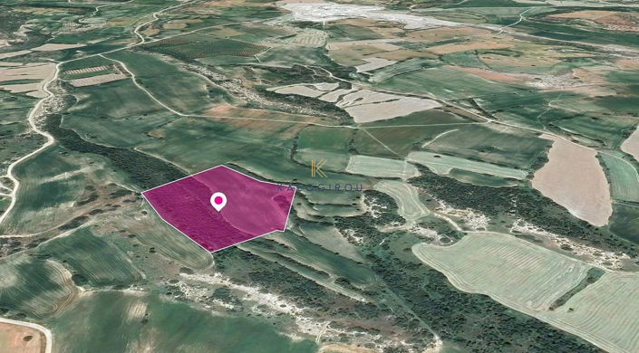 Image No.2-Terre à vendre à Agios Theodoros