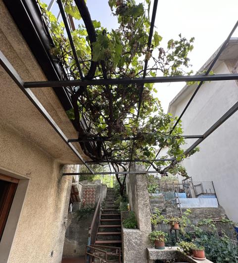 Image No.33-Maison de 6 chambres à vendre à Montalbano Elicona