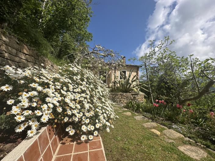 Image No.27-Maison de campagne de 4 chambres à vendre à Sant'Angelo di Brolo
