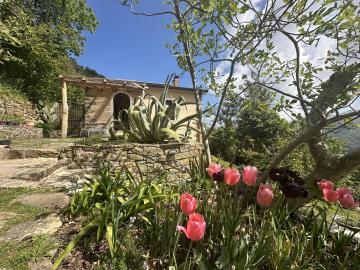 1 - Sant'Angelo di Brolo, Country House