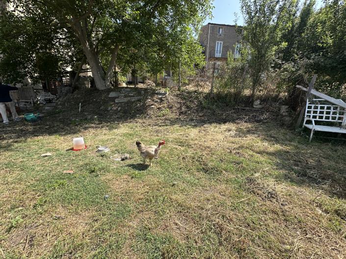 Image No.26-Propriété de 3 chambres à vendre à Montalbano Elicona