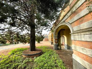 WhatsApp-Image-2023-11-12-at-21-15-20--1-