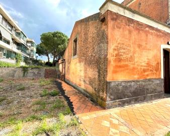 WhatsApp-Image-2023-11-12-at-21-15-20--7-