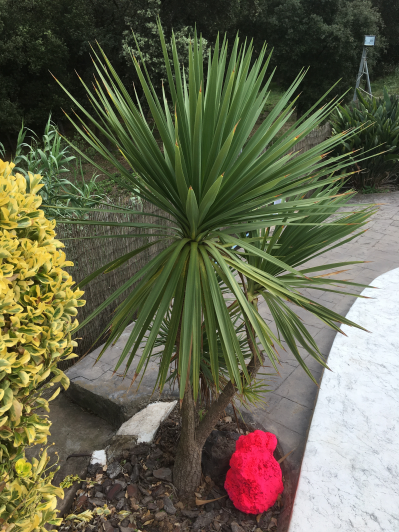 Image No.26-4 Bed Villa / Detached for sale