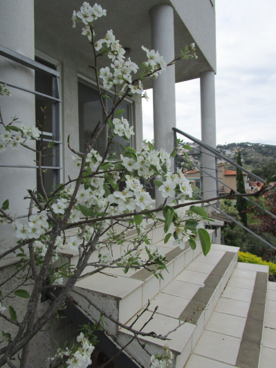 Image No.23-4 Bed Villa / Detached for sale