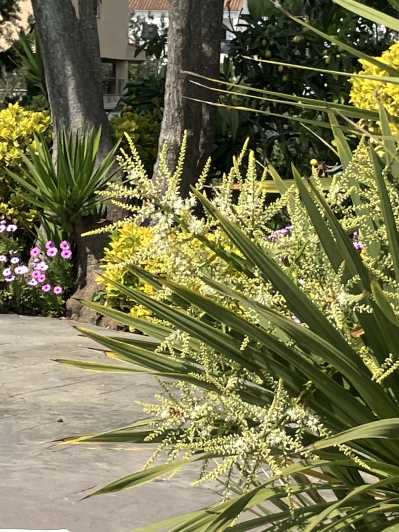 Image No.40-4 Bed Villa / Detached for sale