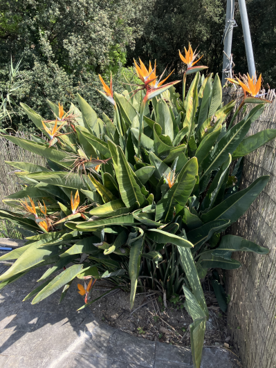 Image No.42-4 Bed Villa / Detached for sale