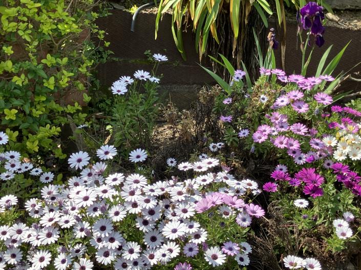 Image No.47-4 Bed Villa / Detached for sale