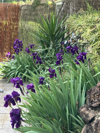 Image No.53-4 Bed Villa / Detached for sale