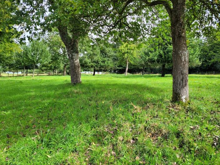 Image No.3-Chalet de 2 chambres à vendre à Passais