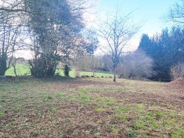 20250224_171446-copie