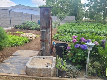 5316315-Photos--189-