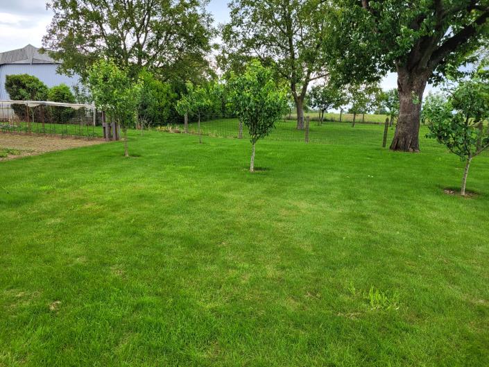 Image No.4-Maison de campagne de 7 chambres à vendre à Désertines