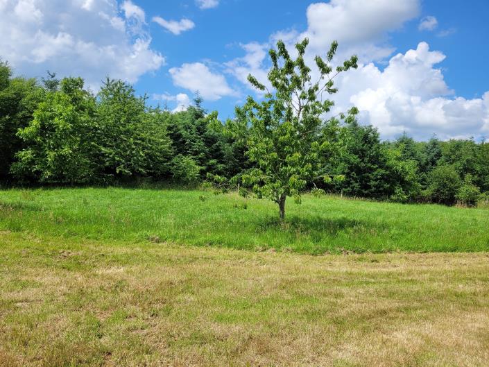 Image No.4-Chalet de 2 chambres à vendre à Ceaucé