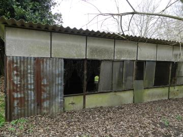 5315515-phot-JPG---49-