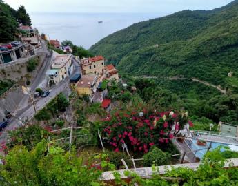 Screenshot_20240923_152408_Photos