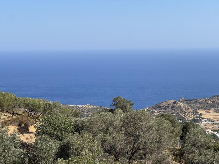 Image No.3-Plot for sale