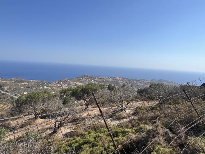 Image No.2-Plot for sale