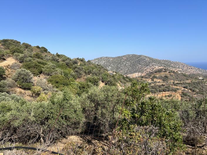 Image No.9-Plot for sale