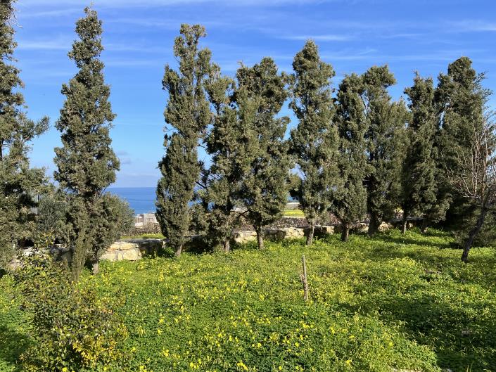 Image No.5-4 Bed Villa / Detached for sale