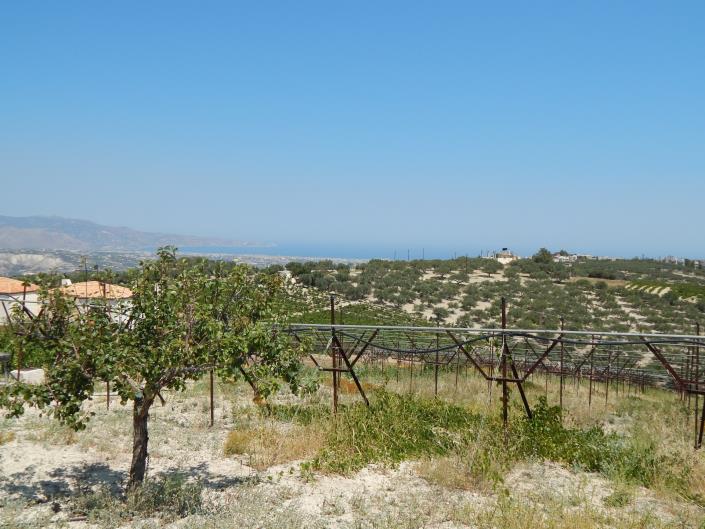 Image No.3-Maison de 4 chambres à vendre à Vasilies