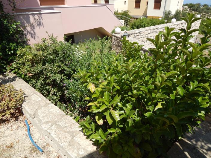 Image No.8-Maison de 4 chambres à vendre à Vasilies