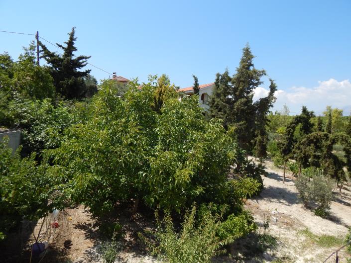 Image No.23-Maison de 4 chambres à vendre à Vasilies