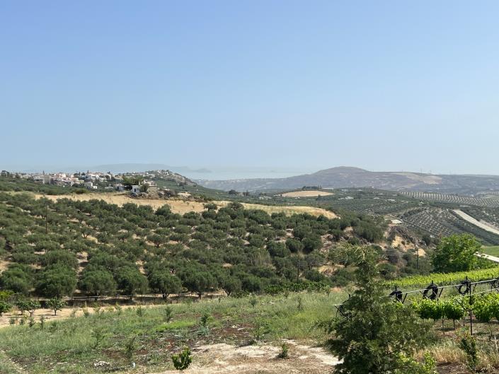 Image No.24-Maison de 4 chambres à vendre à Vasilies