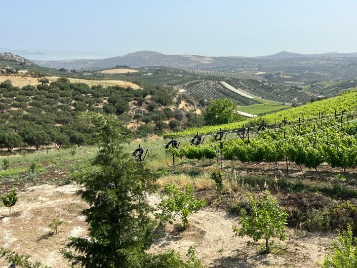 Image No.26-Maison de 4 chambres à vendre à Vasilies