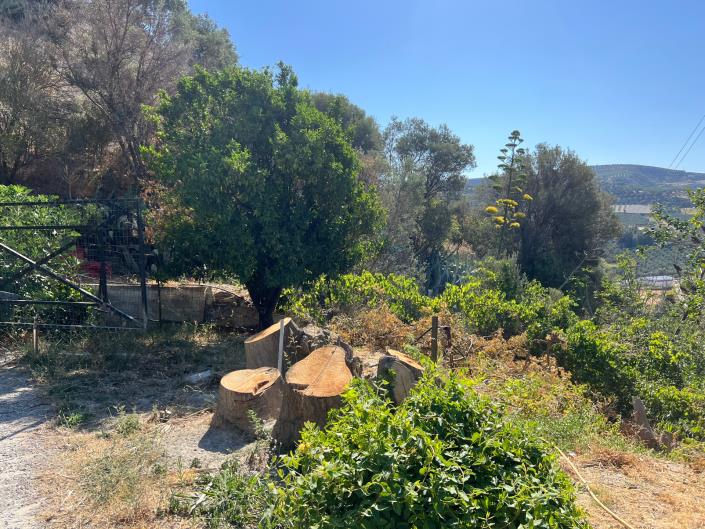 Image No.18-Duplex de 6 chambres à vendre à Iraklion