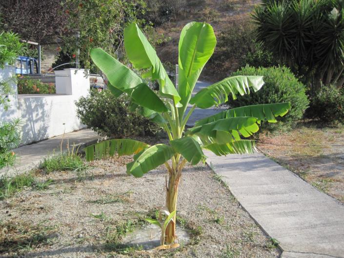 Image No.30-Duplex de 6 chambres à vendre à Iraklion